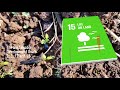 Soil Pollution Awareness and Solutions