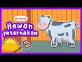 Farm Animals and Their Uses