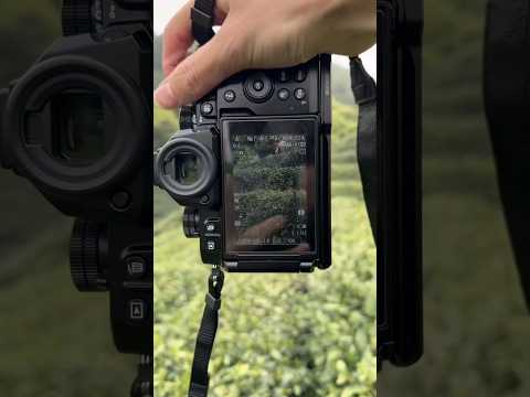 Nikon Z f Camera & Nikon NIKKOR Z 70-200mm f/2.8 VR S Lens photography 8k