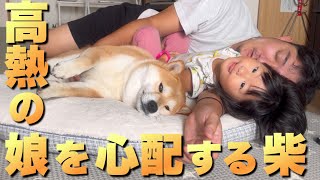 体調不良で寝ている２歳児。心配して隣に寝にくる柴犬の姉が可愛いすぎました...