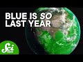 Ocean Color and Ecosystem Health