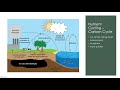 Ecological Processes and Environmental Issues