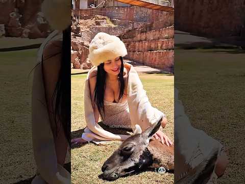 10 Animals Rescued by Heroes 🥹