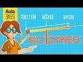 Conceptos Fundamentales de Vectores