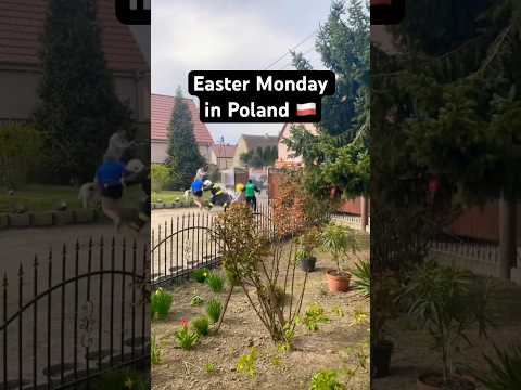 Easter Monday in Poland 🇵🇱😂 #ŚmigusDyngus #easter #poland #traditions #indianinpoland #monday