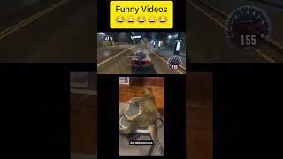 Funny videos Part 2 #funny #cat #2