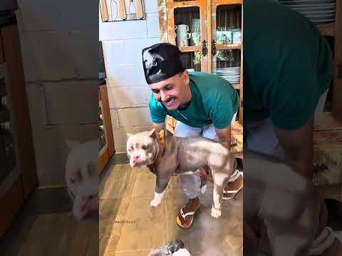 Lombinho Suíno com Manga 🐾