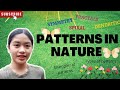 Patterns in Nature and Their Characteristics