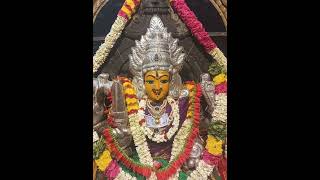 நித்திய சுமங்கலி மாரியம்மன் #amman#omsakthi#maadurga#maakali#rasipuram#namakkal#shorts#mariamman#god