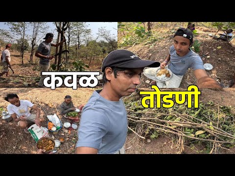 रानात जाऊन केली कवळ तोडणी | कोकणातील कवळ तोडणी | Village Life in Konan | Konkan Sanskruti