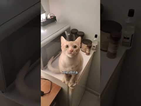Me pasó algo que no puedo explicar 😨😨😨