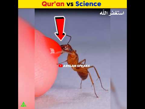Qur'an vs Science | Arslan Speaks #shortsfeed #facts #ants #science