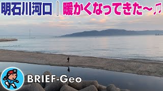 【BRIEF#01】明石川河口｜暖かくなってきた〜♫