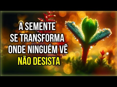 Nao Desista Agora - Mensagem de Bom Dia e Reflexão