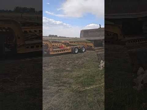 13 million views on IG🤷‍♂️ #jpaydirt #caterpillar #d9g ##murraytrailers #kenworthw900b