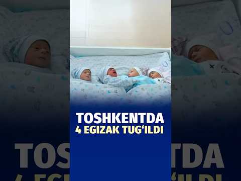 Toshkentda 4 egizak tugʻildi