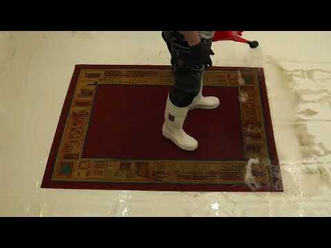 당신의 카펫에서도 '이것'들이 나온다?!/ 'These Things' Come Out of Your Carpet Too?!/ cũng bò ra từ thảm nhà bạn?!