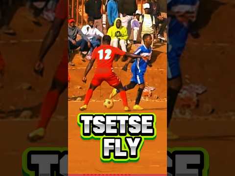 TS-TS-TS-Tsetse Fly - Aviator #kasifootball #youtubechamps