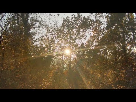 Tot ce sunt, sunt prin harul tàu-Tutto ciò che sono è per tua grazia🙏- Dana🌈  (cover)