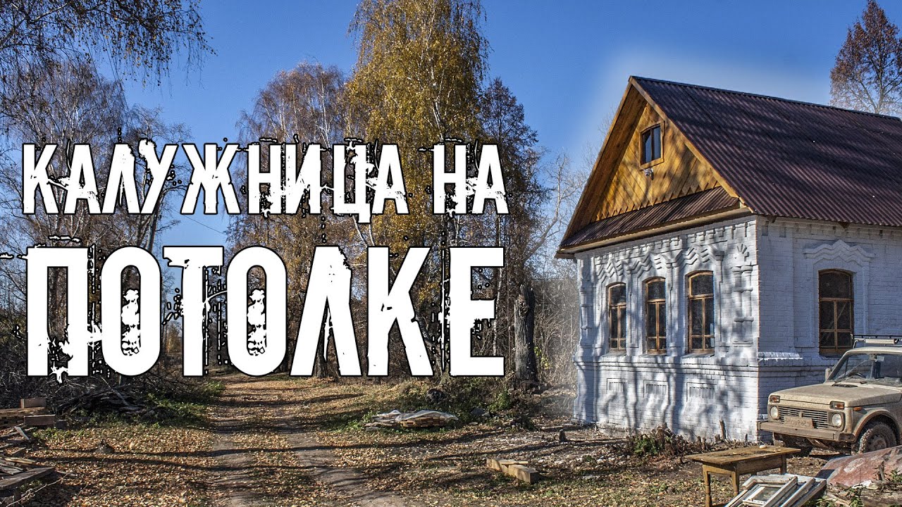 Пол в доме прадеда стал ровным, а потолок покрылся калужницей. Пень упал