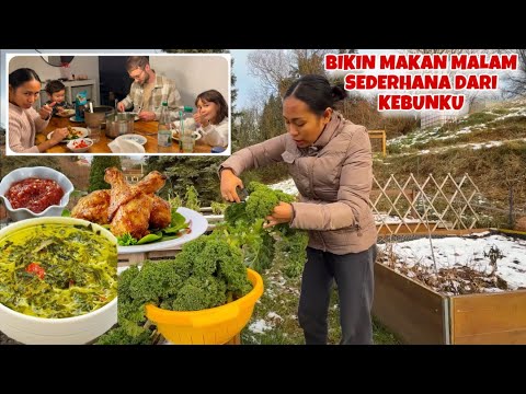 PETIK DAUN SINGKONG KW DI TENGAH SALJU BUAT MAKAN MALAM