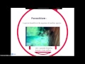 Symbiotic Relationships in Ecosystems