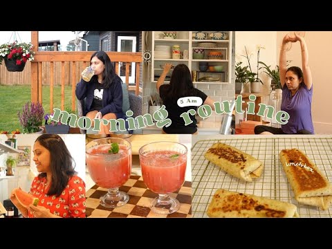 5 Am Morning Vlog - Chickpea Wrap I Mango Chutney I Summer Drink I Peaceful Morning Vlog