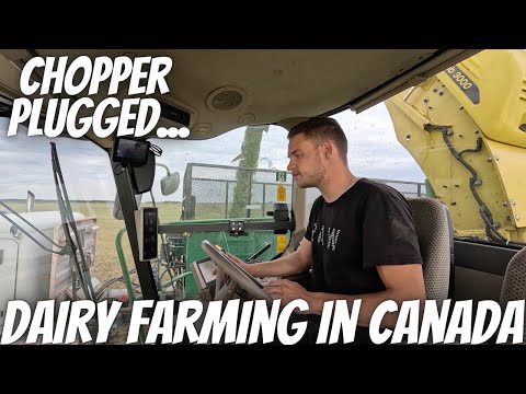I Brutally Plugged This Chopper!