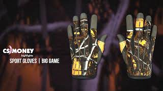 Sport Gloves Big Game Gameplay