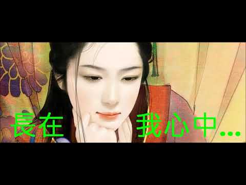 NO:316 女人花- 梅豔芳(國語) (娛己娛人卡拉OK) – 特大字幕MV