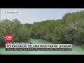 Environmental Conservation and Community Efforts