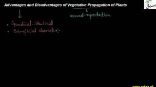 Advantages and Disadvantages of Vegetative Propagation of Plants