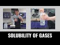 Effects of Temperature on Carbonation