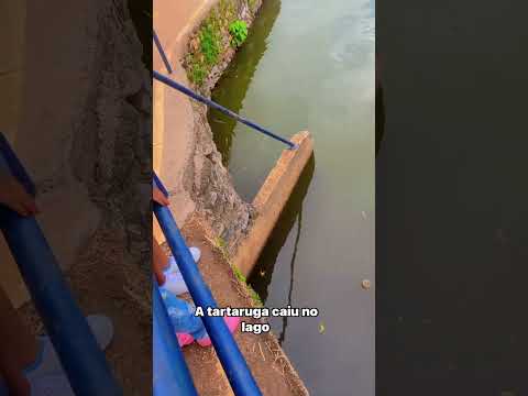 17 de novembro de 2025