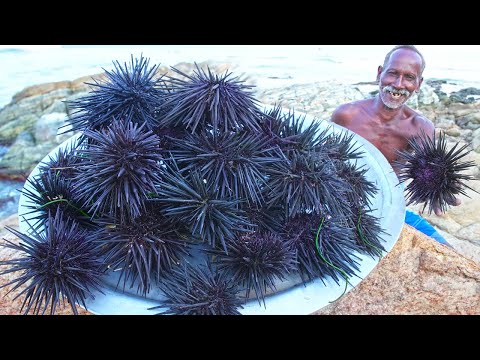 SEA URCHINS HUNTING | கடல் முல் எலி வேட்டை | Healthy Village Food |Grandpa Show