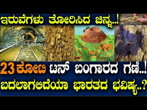 ಇರುವೆಗಳು ತೋರಿಸಿದ್ದು 23ಕೋಟಿ ಟನ್ ಚಿನ್ನದ ನಿಕ್ಷೇಪ.! ಗಣಿಯಿಂದ ಬದಲಾಗುತ್ತ ಭಾರತದ ಭವಿಷ್ಯ.? Do Ants Mine Gold.?