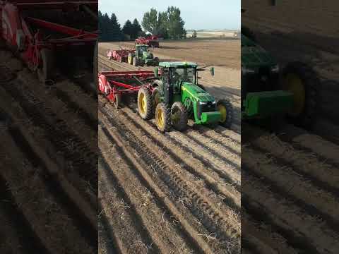 John deere 8R 280 #harvest #traktor #shortsvideo