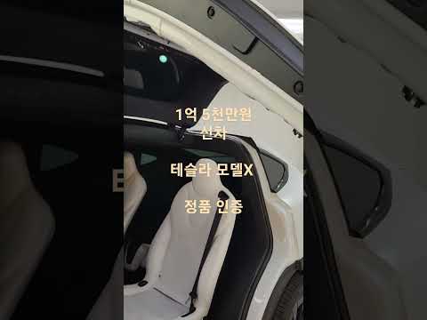 테슬라 모델X 신차 검수 그 끝은 정품인증?