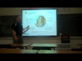 Industrial Revolution and Inventions Impact