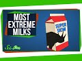 Milk Facts and Misconceptions