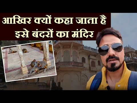 Jaipur के गलताजी मंदिर में आखिर क्यों रहते हैं हजारों में बंदर, जानिए कहानी | Galtaji Temple