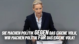 "Sie machen Politik gegen das eigene Volk!" - Alice Weidel - AfD