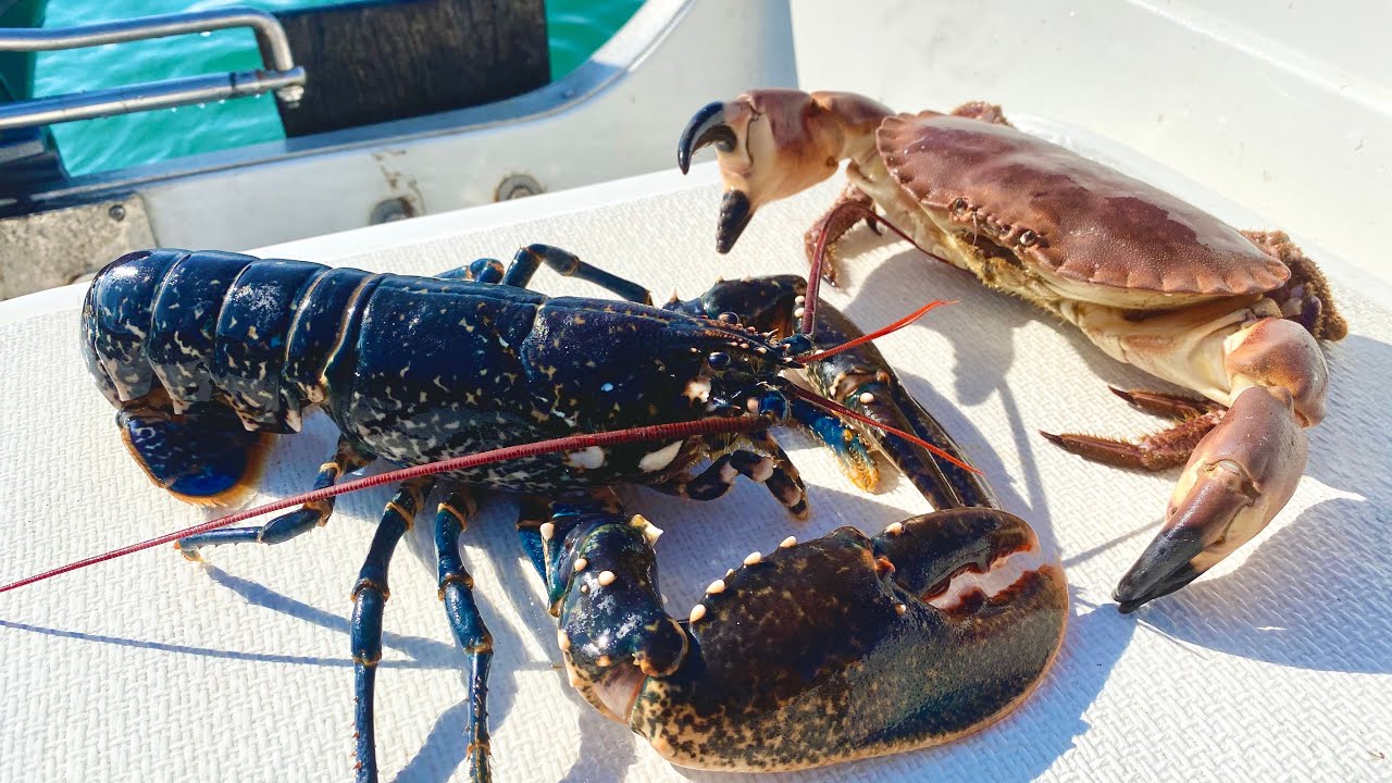 Hauling homemade lobster pots in BAD WEATHER - Lobster Cookup - Lobster Rolls - The Fish Locker