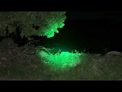 Nahual se transformó frente mi