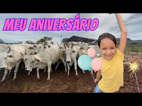 Diversão Rural: ANIVERSÁRIO da ANINHA com VACAS VALENTES