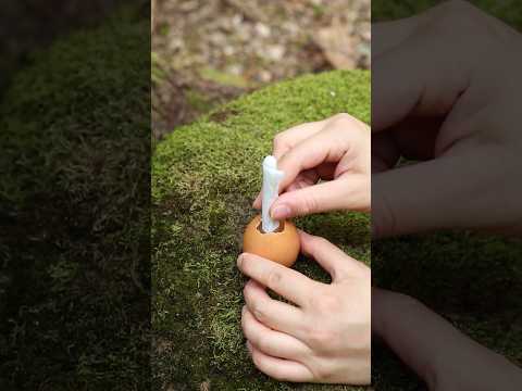 WOW! She Сooked an 🥚EGG on EGG! #survival #forest #lifehacks #bushcraft #outdoors #camping