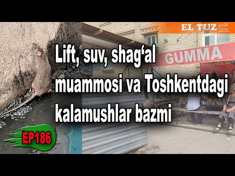 Lift, suv, shag‘al muammosi va Toshkentdagi kalamushlar bazmi - EP186