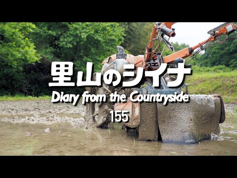 田舎暮らし 155：田植え前に耕耘機が故障！ / 田んぼの代かき / 新しい田植え機