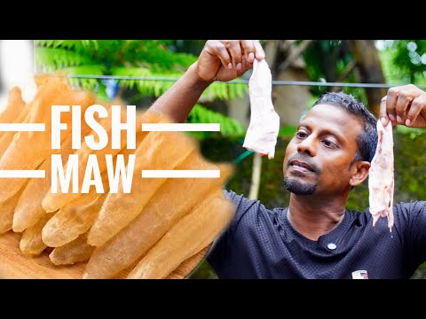 ഇത്രേം നാൾ നമ്മൾ എറിഞ്ഞു കളഞ്ഞത് മീനിന്റെ ഏറ്റവും നല്ല ഭാഗം. .Anti aging food