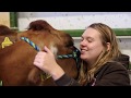Animal Science Club Activities at Fair